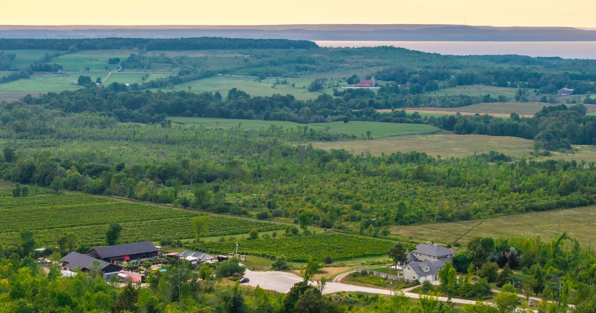 Coffin Ridge Winery, 599448 2nd Concession Rd N, Annan