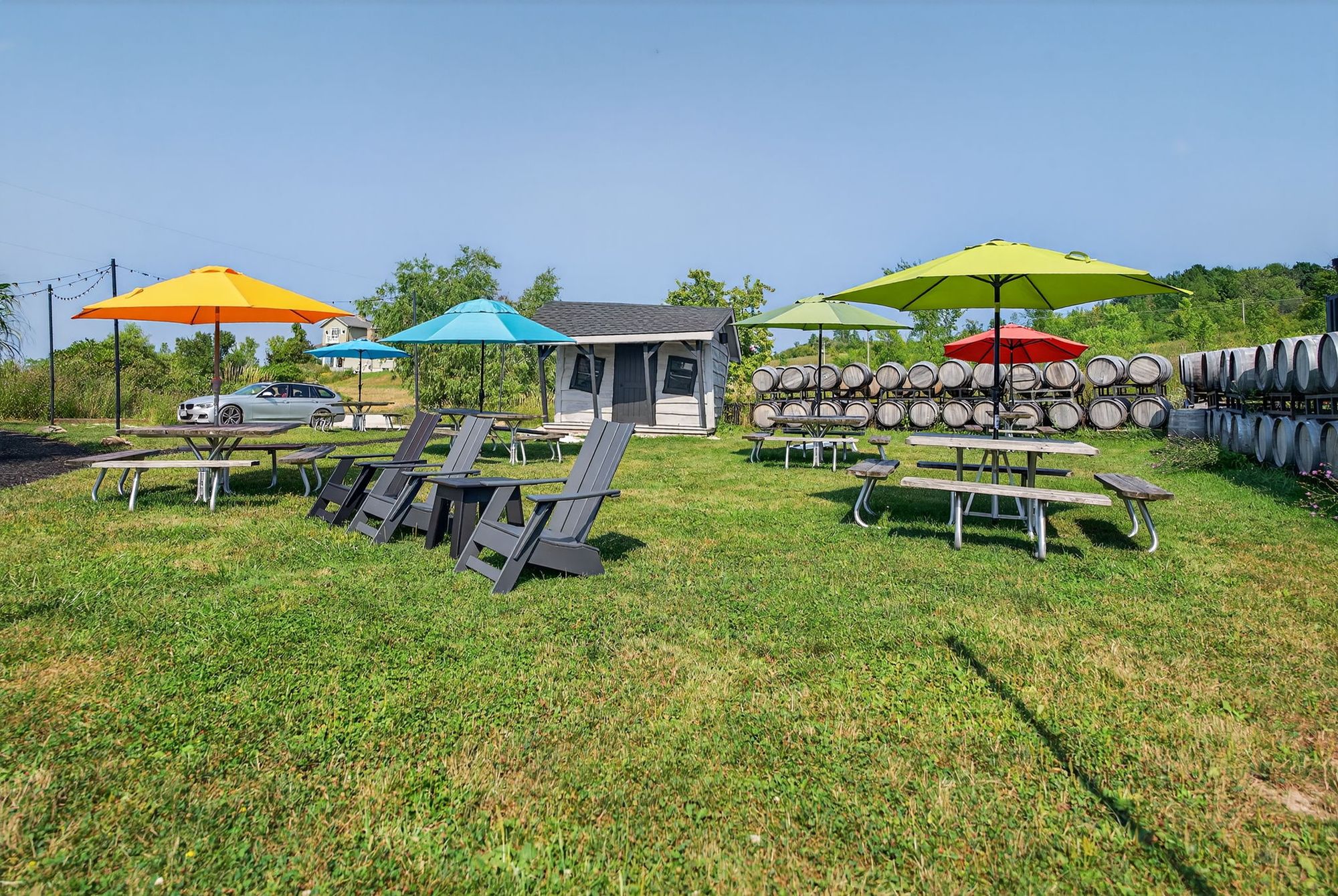 The beer garden lawn with umbrellas and barrel stacks