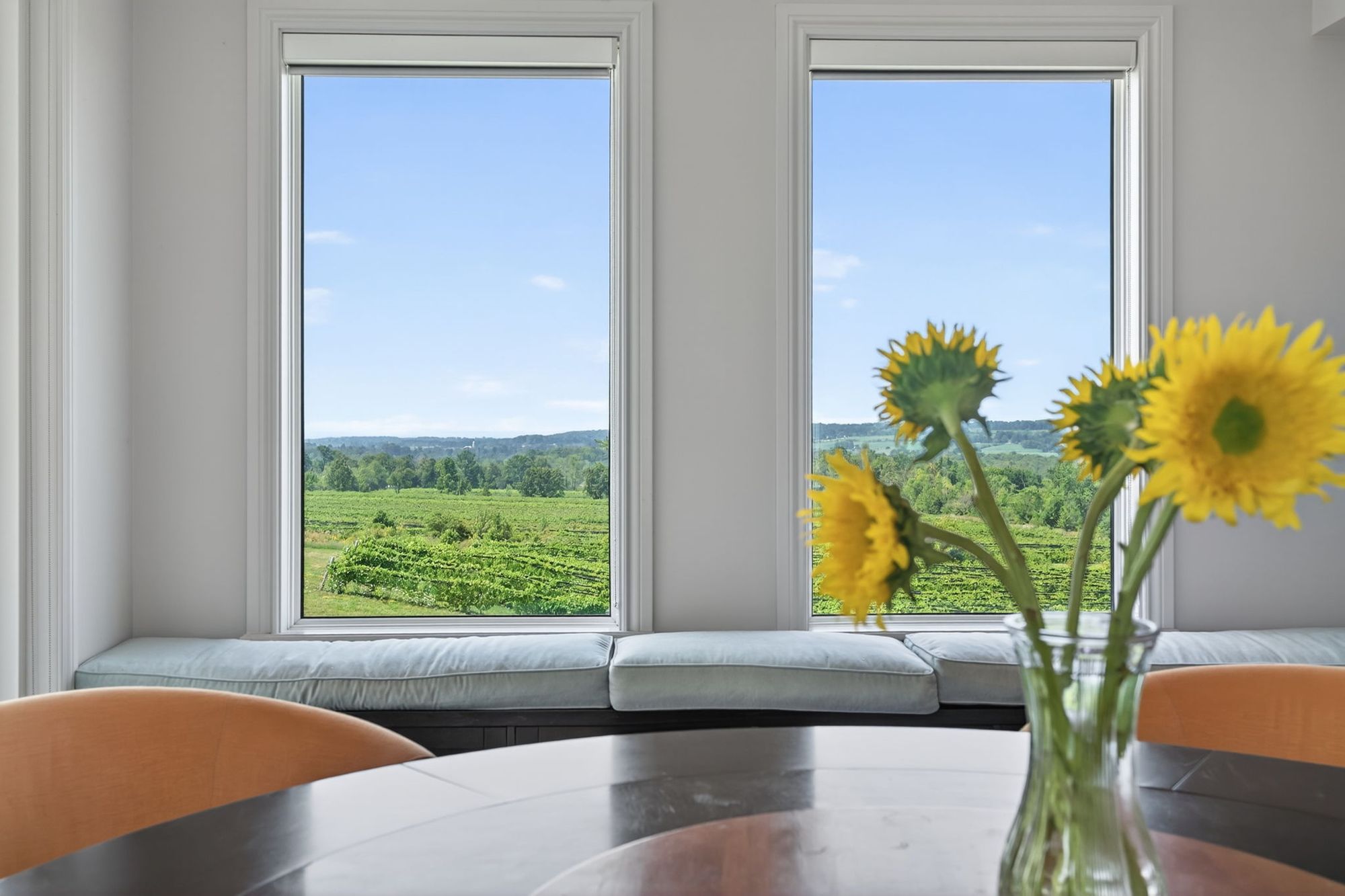 Sunflowers on the table and the vineyard through the breakfast room windows