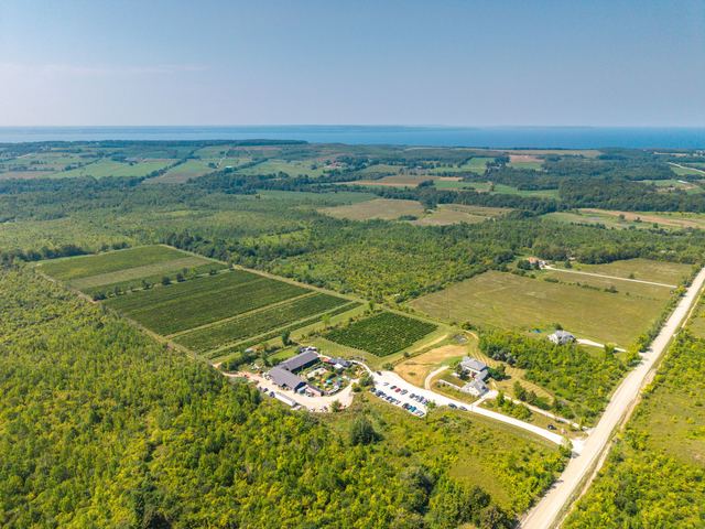 The vineyard blocks, the winery and the houses from the air, with Georgian Bay beyond